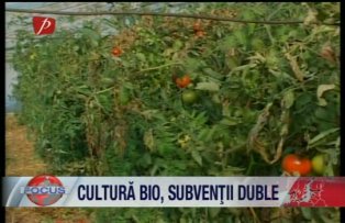 Cultura bio, subventii duble