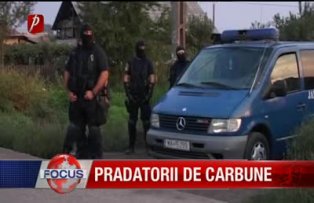 Prădătorii de cărbune