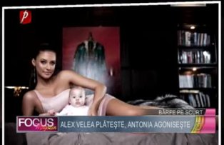 Alex Velea plăteşte, Antonia agoniseşte