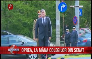Oprea, la mana colegilor din Senat