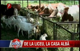 De la liceu la Casa Alba
