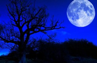 Superstitiile care insotesc Luna "albastra", vizibila astazi