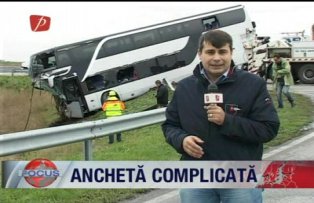 Ancheta complicata