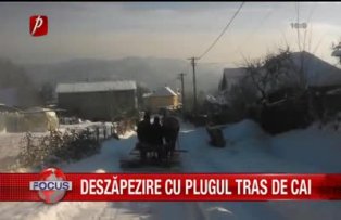 Deszapezire cu plugul tras de cai