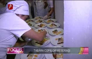 Tabara copiilor meseriasi