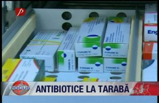 Antibiotice la taraba