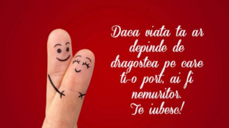 Mesaje de Valentine’s Day. Cele mai amuzante si cele mai romantice