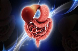 Alimente care previn cancerul de colon