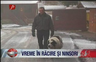 Vreme in racire si ninsori
