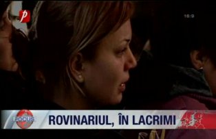 Rovinariul in lacrimi
