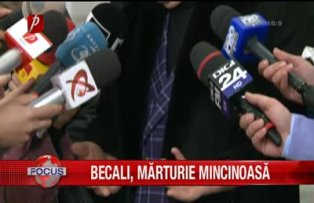 Becali marturie mincinoasa