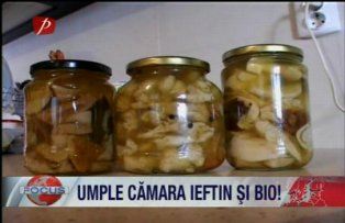 Umple camara ieftin si bio. Cat ne costa