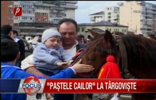 Pastele Cailor la Targoviste