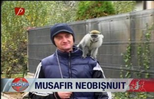 Musafir neobisnuit