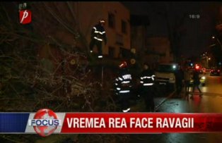 Vremea rea face ravagii