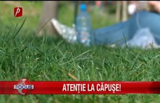 Atenţie la căpuşe!