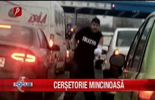 Cersetorie minicinoasa