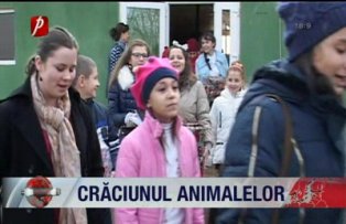 Craciunul animalelor