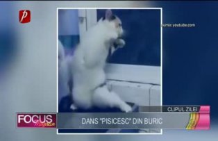 Clipul zilei: dans "pisicesc" din buric