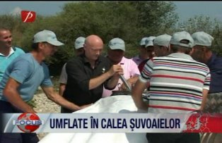 Umflate in calea suvoaielor