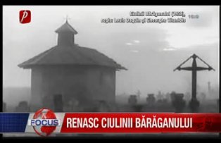 Renasc ciulinii Bărăganului