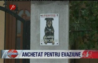 Anchetat pentru evaziune