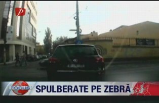 Spulberate pe zebra
