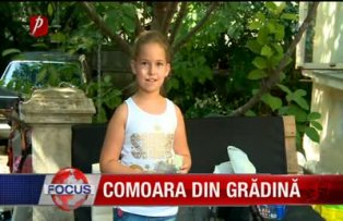 Comoara din grădină