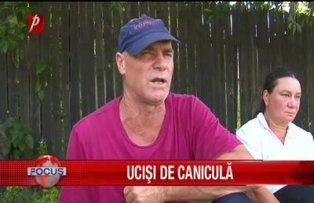 Ucisi de canicula