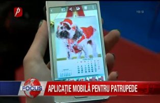 Aplicatie mobila pentru patrupede