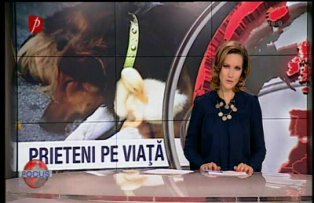 Câinele şi raţa, prieteni pe viaţă