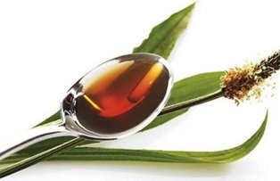 Tratamente naturiste pe baza de patlagina. Afla retetele si ce boli vindeca