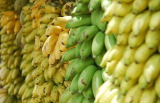 Ce se intampla daca mananci banane necoapte