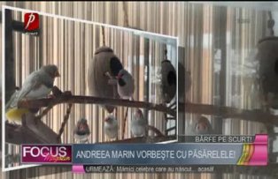 Andreea Marin vorbeşte cu păsărelele!