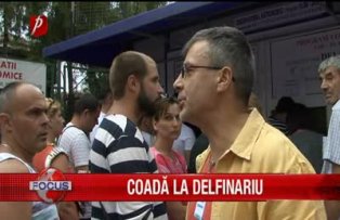 Coada la delfinariu
