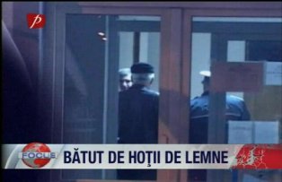 Batut de hotii de lemne