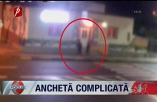 Ancheta complicata