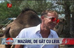 Mazare, de gat cu leul