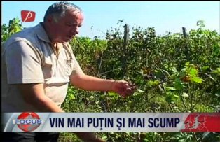 Vin mai putin si mai scump