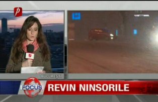 Revin ninsorile