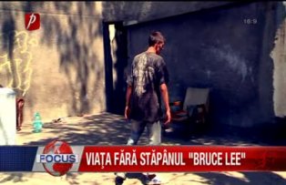 Viata fara stapanul Bruce Lee.