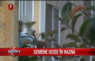 Gemene ucise in hazna