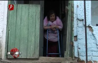 Ajutaţi-le să trăiască!