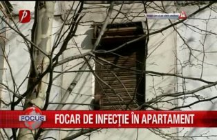 Focar de infectie in apartament