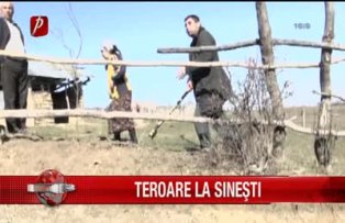 Teroare la Sineşti