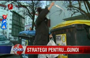 Strategii pentru gunoi