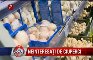 Neinteresati de ciuperci