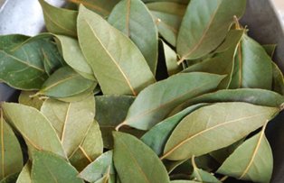 Plante aromatice bune pentru sanatate. Ceaiul din frunze de dafin, remediu minune pentru organism