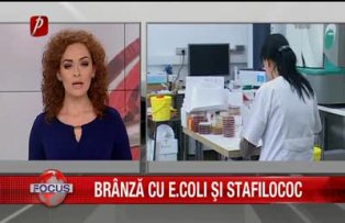 Brânză cu e.coli şi stafilococ