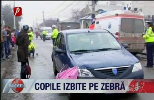 Copile izbite pe zebra